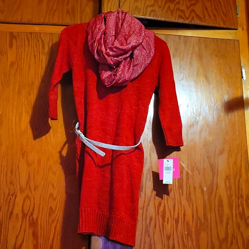 Girls Holiday dress